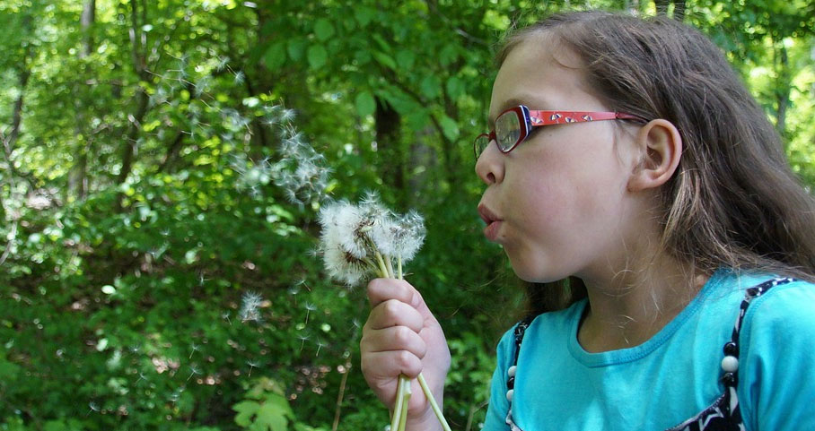 Optiecien : lunettes pour enfants à Muzillac